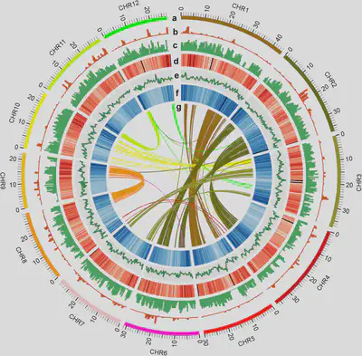 Whole Genome Sequencing